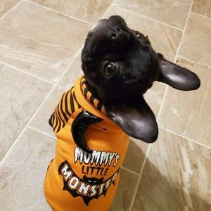 Meet your Posher, Rebecca